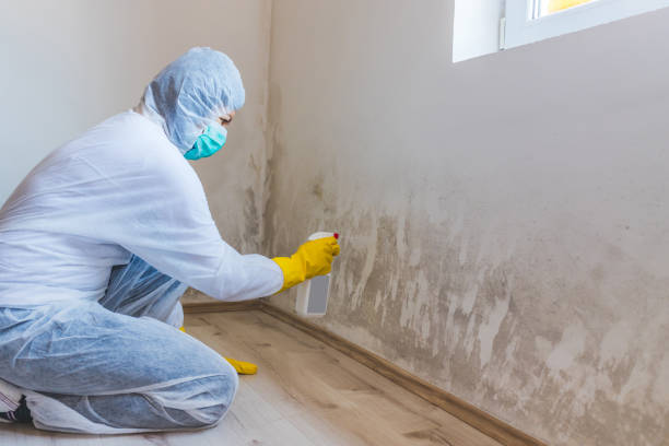 Hvac And Air Duct Mold Remediation inspection of HVAC system in Elkton